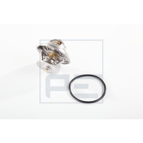 Thermostat des Herstellers PETERS ENNEPETAL - Originalware Artikelnummer: 030.462-00A