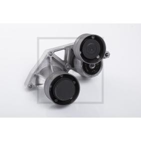 Compre Tensor de correia, correia trapezoidal estriada da PETERS ENNEPETAL 100.130-00A a um preço baixo por 131,03 €