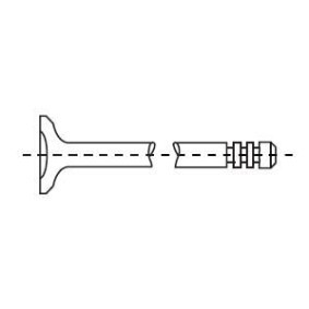 Einlaßventil 554041B