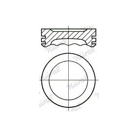 Compre Êmbolo da NÜRAL 87-787006-30 a um preço baixo por 89,72 €