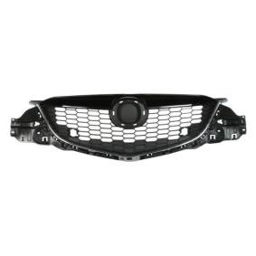 Kühlergrill 6502-07-3495990P