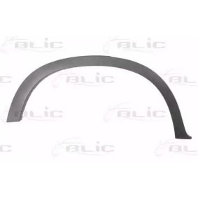 Comprar Aletin de BLIC 5703-04-0096596P a bajo precio de 43,99 €
