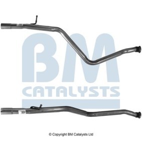 Acquista Filtro antiparticolato (FAP) da BM CATALYSTS BM11176 a buon mercato per soli 428,11 €
