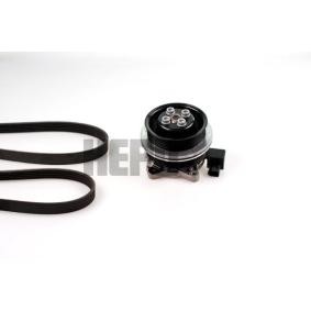 Wasserpumpe + Keilrippenriemensatz PK06510 für SEAT