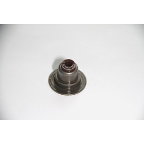 Ventilschaftdichtung 19036941
