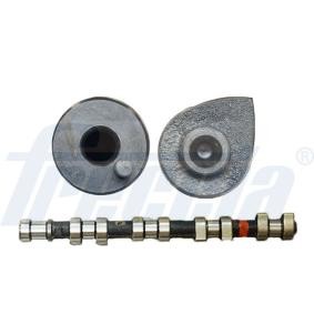 Nockenwelle CM05-2173