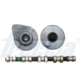 Nockenwelle CM05-2174