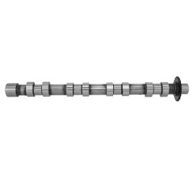 Compre Árvore de cames de FRECCIA online para C4 I Van / Hatchback (LR_) a preços moderados
