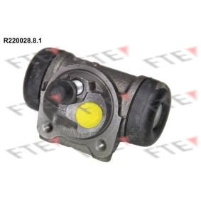 Achetez des Cylindre de roue FTE R220028.8.1 à prix pour 19,73 €