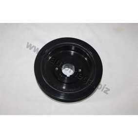 Achetez des Poulie damper (vilebrequin) AUTOMEGA 3005150G3 à prix pour 35,87 €