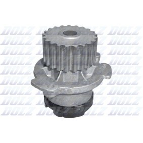 Wasserpumpe L125