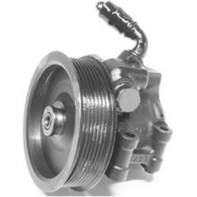 Acquista Pompa idraulica, sterzo da GENERAL RICAMBI PI1033 a buon mercato per soli 250,25 €