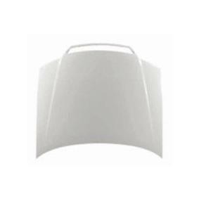 Motorhaube 003-13-100