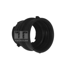 Comprar Tubo flexible de aspiración, filtro de aire de TEDGUM 00392600 a bajo precio de 15,97 €
