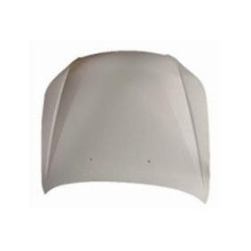 Motorhaube 007-09-100