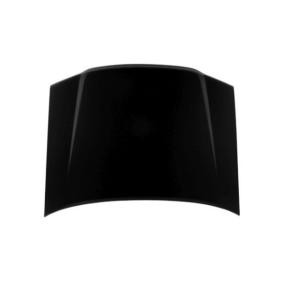 Motorhaube 007-12-100