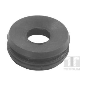 Acquista Cuscinetto, Supporto cambio manuale da TEDGUM 00721076 a buon mercato per soli 19,24 €