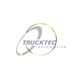 Compre Vareta do nível de óleo da TRUCKTEC AUTOMOTIVE 01.10.043 a um preço baixo por 8,91 €