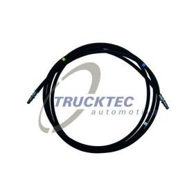 Kupplungsschlauch von TRUCKTEC AUTOMOTIVE günstig für 75,45 €
