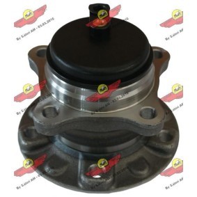 DS Radlagersatz von AUTOKIT