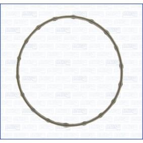Dichtung, Thermostat 01129500
