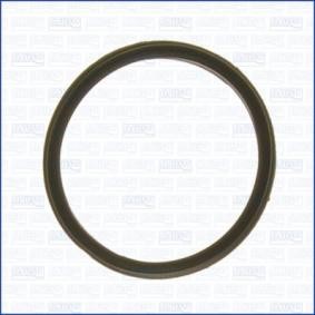 Dichtung, Thermostat 01177200