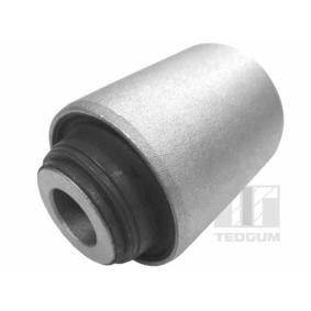 Comprar Casquillo, alojamiento del brazo oscilante transversal de TEDGUM 01214476 a bajo precio de 9,35 €