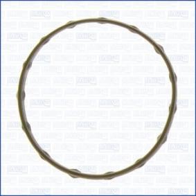 Dichtung, Thermostat 01222000