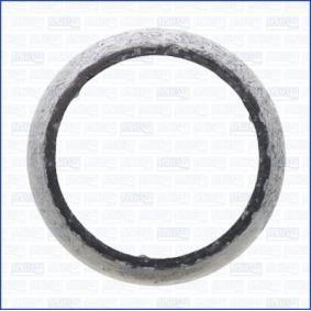 Dichtung, Abgasrohr 01365300