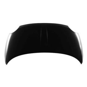 Motorhaube 016-06-100