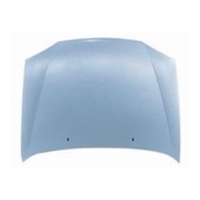 Motorhaube 017-09-100