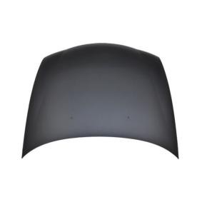 Motorhaube 017-25-100