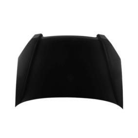 Motorhaube 018-15-100