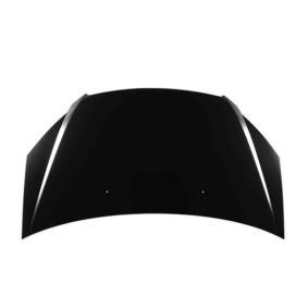 Motorhaube 018-43-100