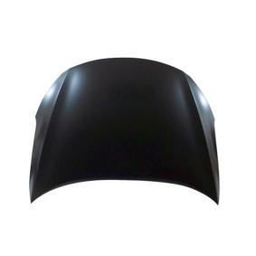 Motorhaube 024-31-100