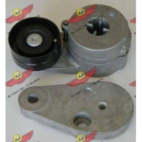 Comprar Brazo tensor, correa poli V de AUTOKIT 03.80198 a bajo precio de 291,24 €