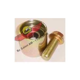 Acquista Galoppino / Guidacinghia, Cinghia dentata da AUTOKIT 03.80205 a buon mercato per soli 69,11 €