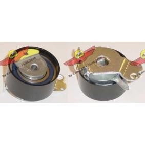 Spannrolle, Zahnriemen für CITROËN von AUTOKIT