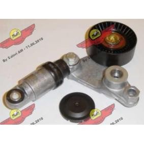 Acquista Braccio tenditore, Cinghia Poly-V da AUTOKIT 03.80529 a buon mercato per soli 202,14 €