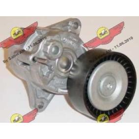 Comprar Brazo tensor, correa poli V de AUTOKIT 03.80549 a bajo precio de 104,52 €