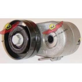 Comprar Brazo tensor, correa poli V de AUTOKIT 03.80552 a bajo precio de 153,72 €