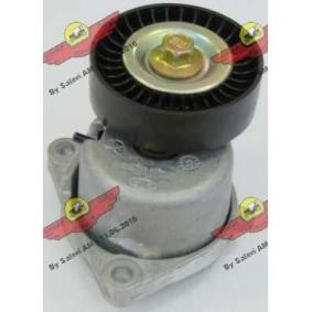 Acquista Braccio tenditore, Cinghia Poly-V da AUTOKIT 03.80846 a buon mercato per soli 104,42 €