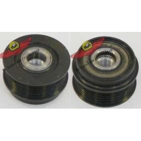 Achetez des Poulie roue libre, alternateur AUTOKIT 03.80879 à prix pour 76,95 €