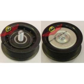 Comprar Polea inversión / guía, correa poli V de AUTOKIT 03.80926 a bajo precio de 70,72 €