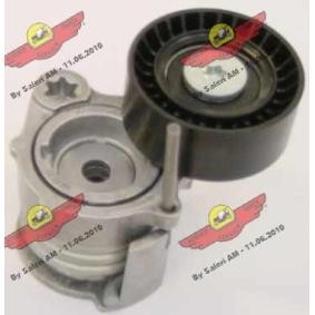 Comprar Brazo tensor, correa poli V de AUTOKIT 03.80946 a bajo precio de 108,53 €