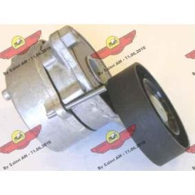 Comprar Brazo tensor, correa poli V de AUTOKIT 03.81148 a bajo precio de 213,29 €