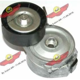 Comprar Brazo tensor, correa poli V de AUTOKIT 03.81329 a bajo precio de 110,97 €