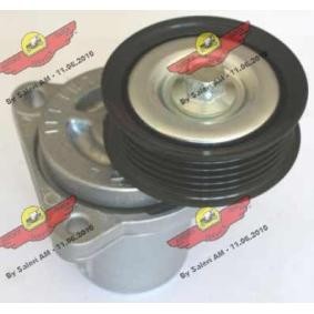 Compre Tensor, correia trapezoidal estriada da AUTOKIT 03.81361 a um preço baixo por 303,22 €
