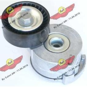 Compre Tensor, correia trapezoidal estriada da AUTOKIT 03.81528 a um preço baixo por 134,34 €