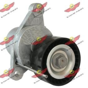 Compre Tensor, correia trapezoidal estriada da AUTOKIT 03.81752 a um preço baixo por 145,55 €